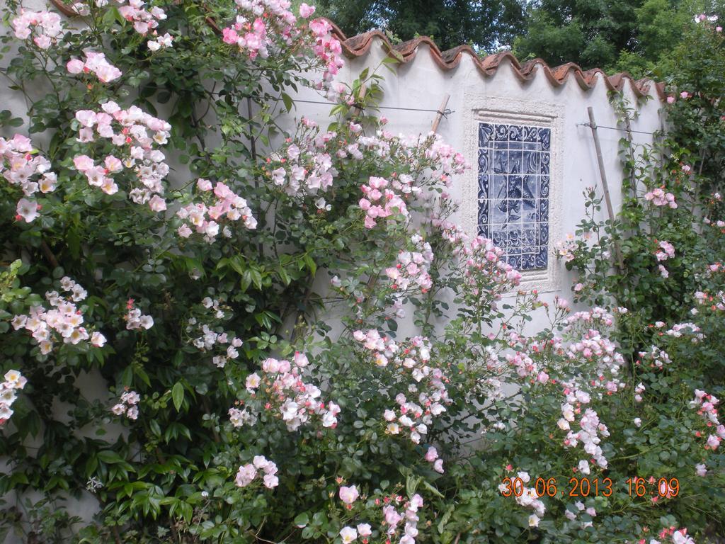Moulin De Larcy Villa Ribérac Buitenkant foto